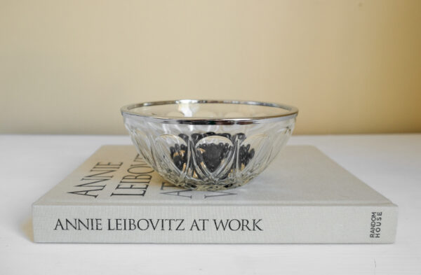 Reims France Silver Rim Glass Bowl with Daisy