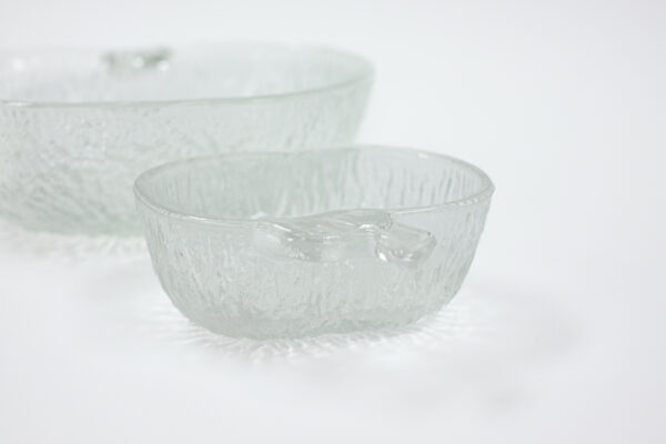 CoVetro Italy Ice Glass Apple Serving Dish and Dining Set for 4