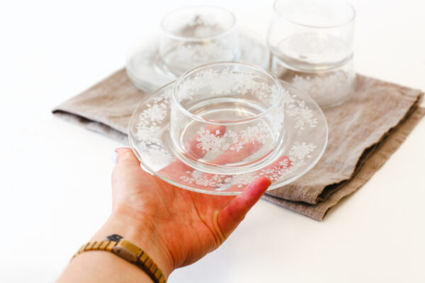 White Rose Enamel Glass Custard Bowl and Plate Set for 4