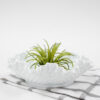 Fenton Hobnail Milk Glass Ruffle Dish