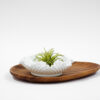 Fenton Hobnail Milk Glass Ruffle Dish