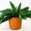 70s Woven Wicker Planter