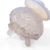 Sowerby of England Opalescent Glass Piasa Bird Rose Bowl - Image 5