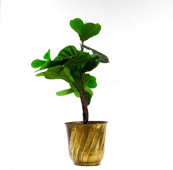 Large Size Solid Brass Planter, Made in India