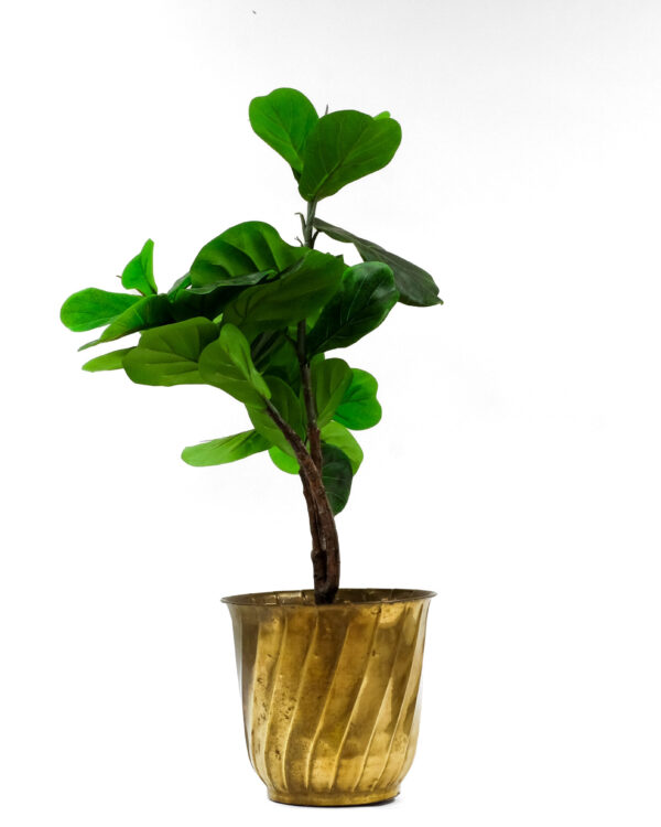 Large Size Solid Brass Planter, Made in India