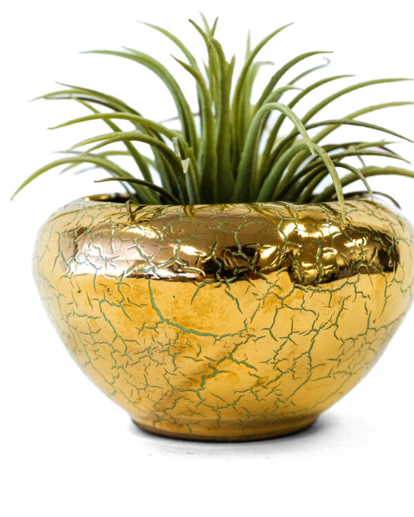 MCM Pea Green and Gold Crackle Relief Dish by Fosters California